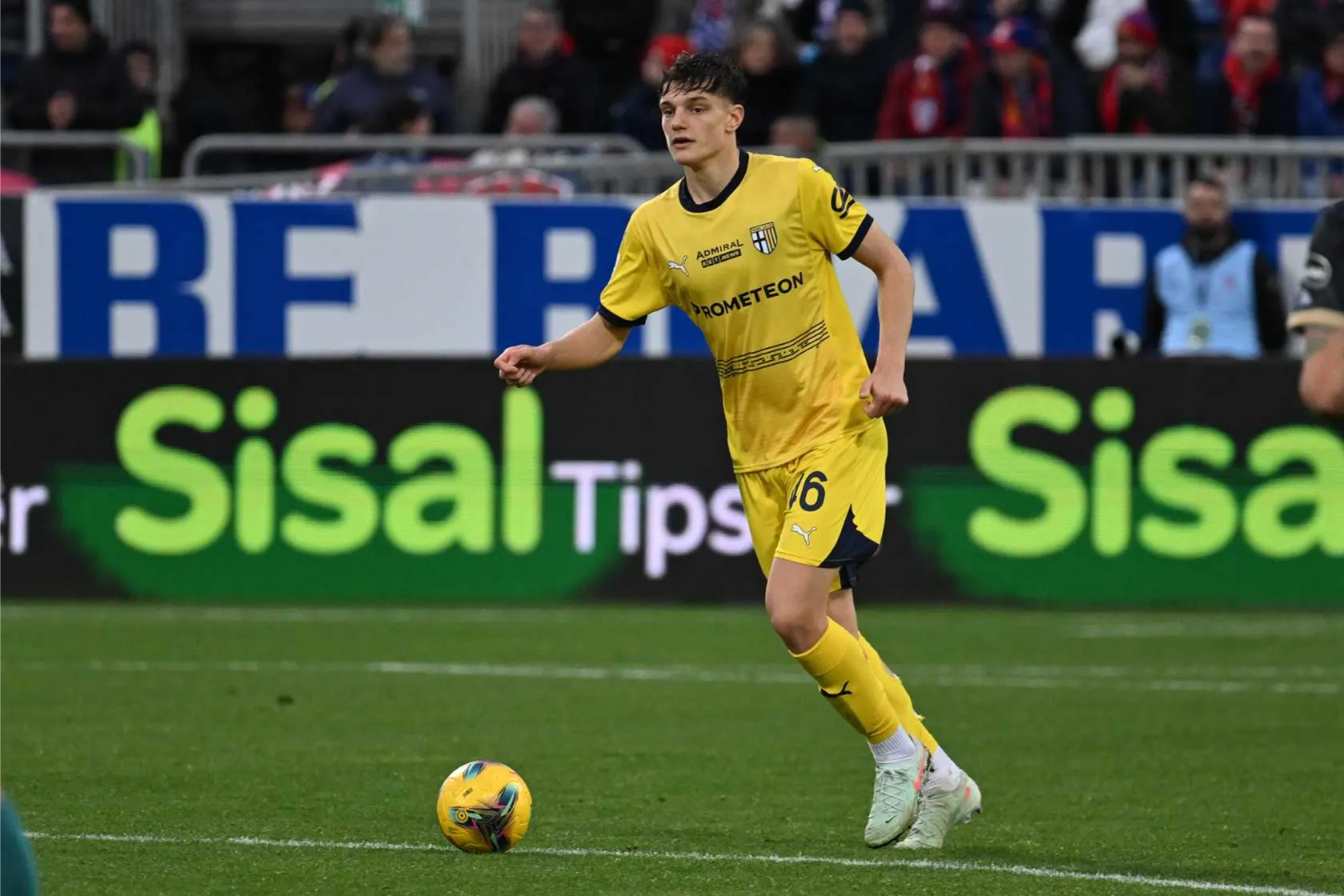 Leoni in Cagliari-Parma