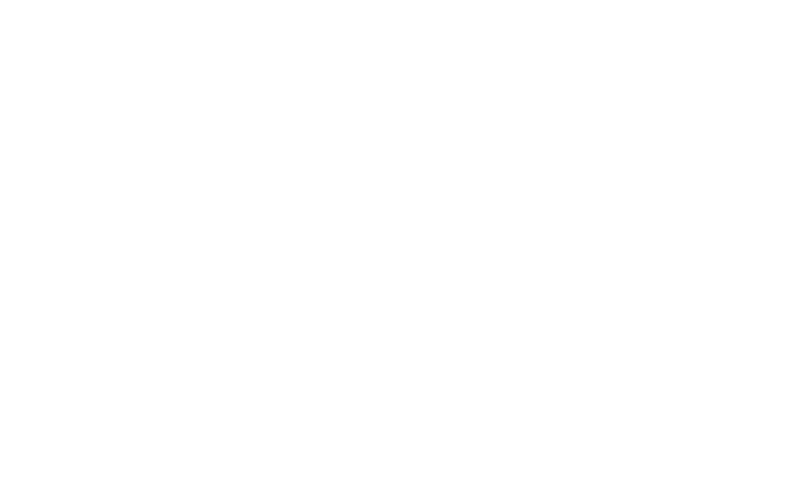 Fidenza Village