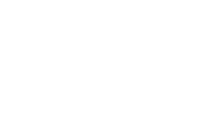 Okkia
